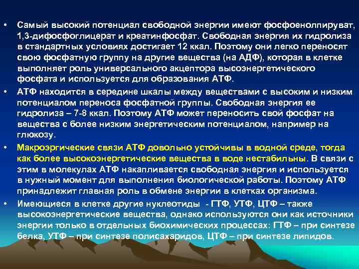  • • Самый высокий потенциал свободной энергии имеют фосфоенолпируват, 1, 3 -дифосфоглицерат и