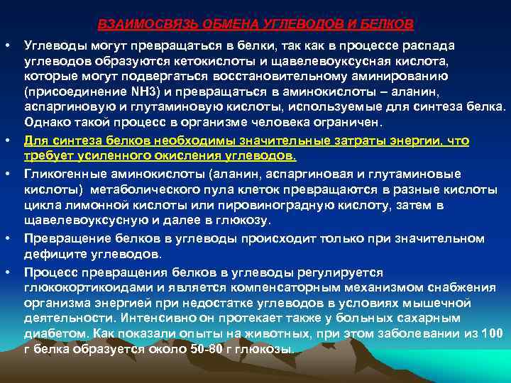 ВЗАИМОСВЯЗЬ ОБМЕНА УГЛЕВОДОВ И БЕЛКОВ • • • Углеводы могут превращаться в белки, так