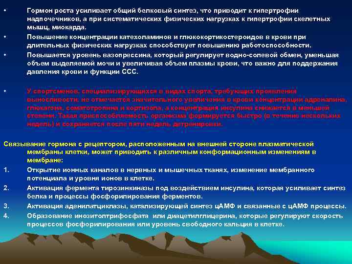  • • Гормон роста усиливает общий белковый синтез, что приводит к гипертрофии надпочечников,