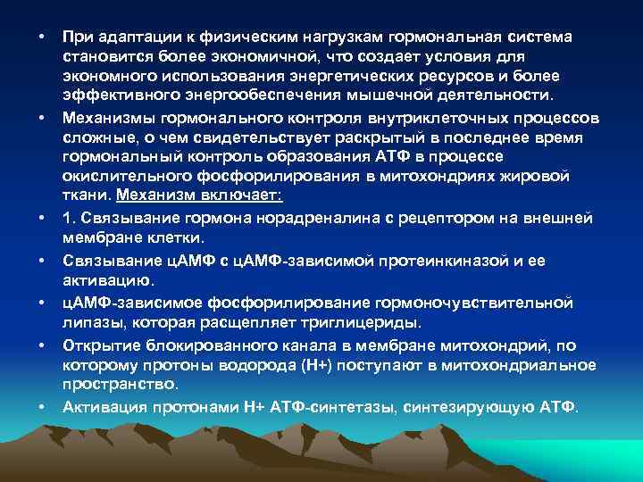  • • При адаптации к физическим нагрузкам гормональная система становится более экономичной, что