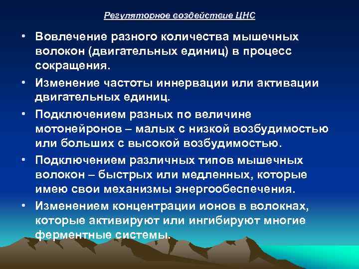 Регуляторное воздействие ЦНС • Вовлечение разного количества мышечных волокон (двигательных единиц) в процесс сокращения.