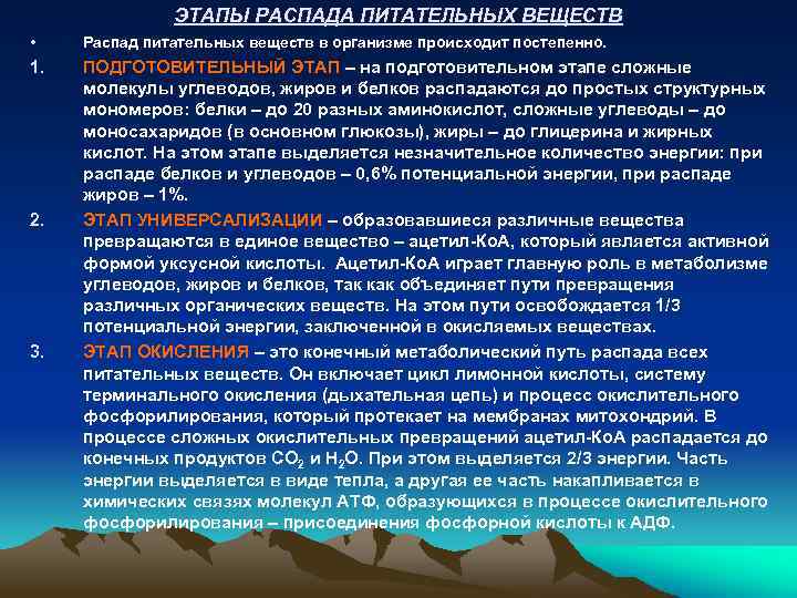 ЭТАПЫ РАСПАДА ПИТАТЕЛЬНЫХ ВЕЩЕСТВ • Распад питательных веществ в организме происходит постепенно. 1. ПОДГОТОВИТЕЛЬНЫЙ