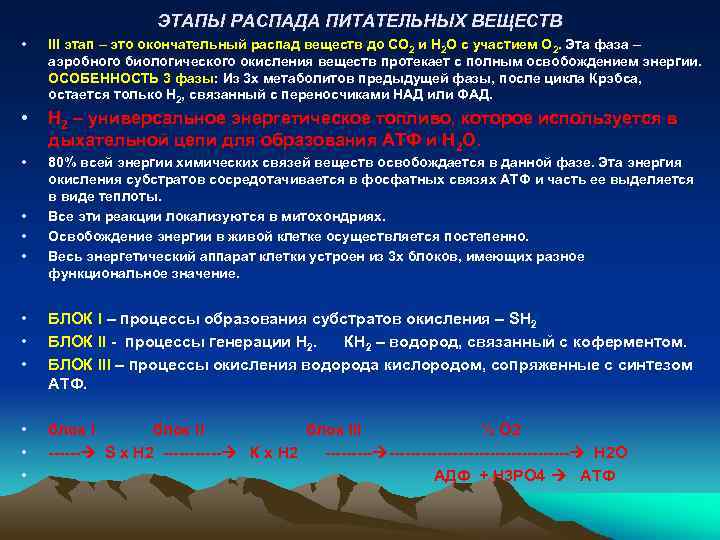 ЭТАПЫ РАСПАДА ПИТАТЕЛЬНЫХ ВЕЩЕСТВ • III этап – это окончательный распад веществ до СО