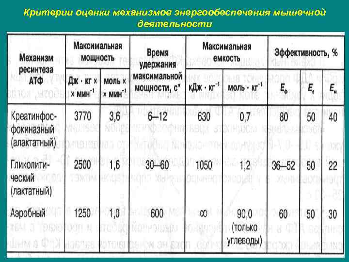 Критерии оценки механизмов энергообеспечения мышечной деятельности 