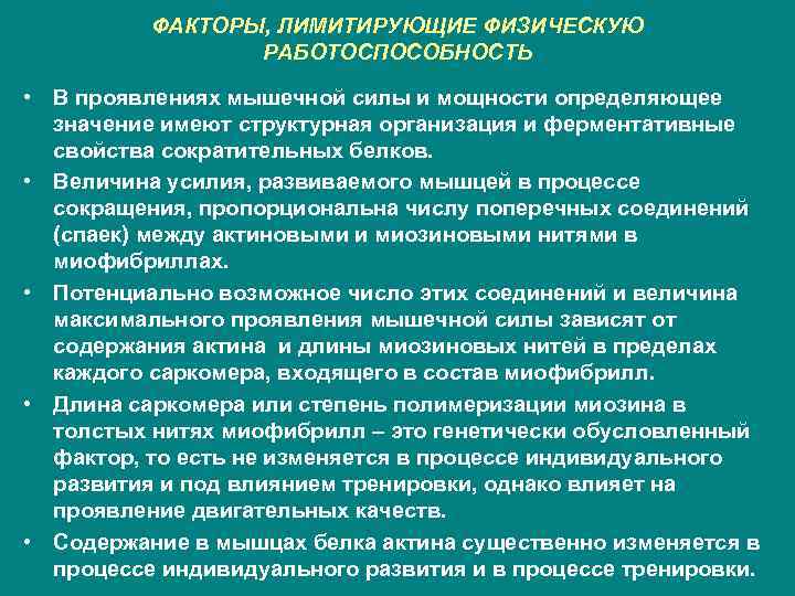 ФАКТОРЫ, ЛИМИТИРУЮЩИЕ ФИЗИЧЕСКУЮ РАБОТОСПОСОБНОСТЬ • В проявлениях мышечной силы и мощности определяющее значение имеют