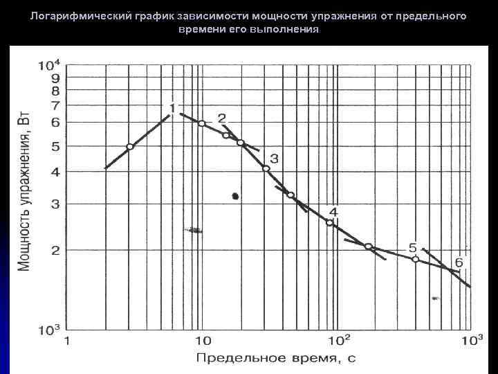 Логарифмический график зависимости мощности упражнения от предельного времени его выполнения 