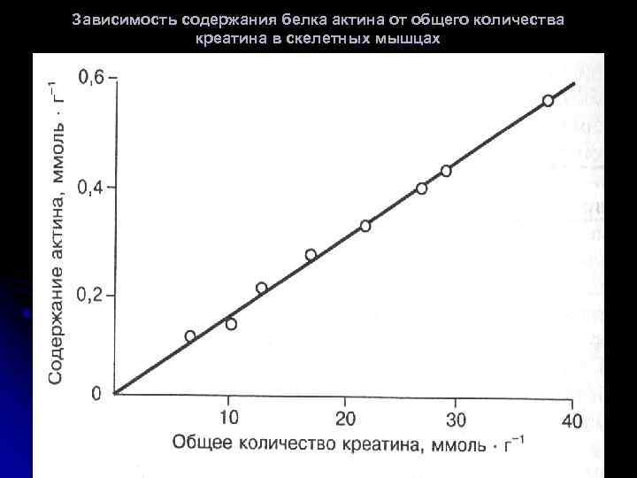 Зависимость содержания белка актина от общего количества креатина в скелетных мышцах 