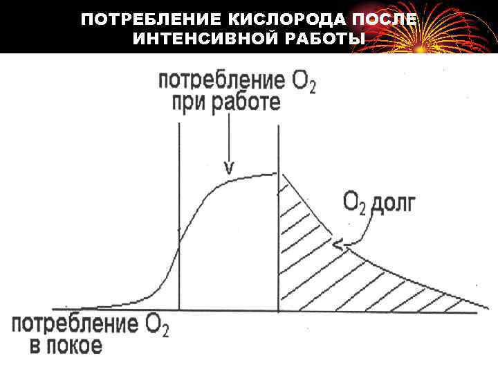 ПОТРЕБЛЕНИЕ КИСЛОРОДА ПОСЛЕ ИНТЕНСИВНОЙ РАБОТЫ 