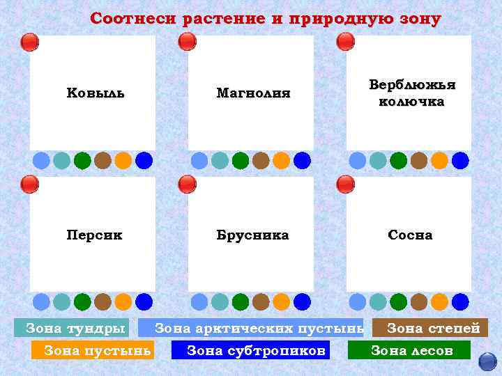 Соотнеси растение и природную зону Ковыль Магнолия Верблюжья колючка Персик Брусника Сосна Зона тундры