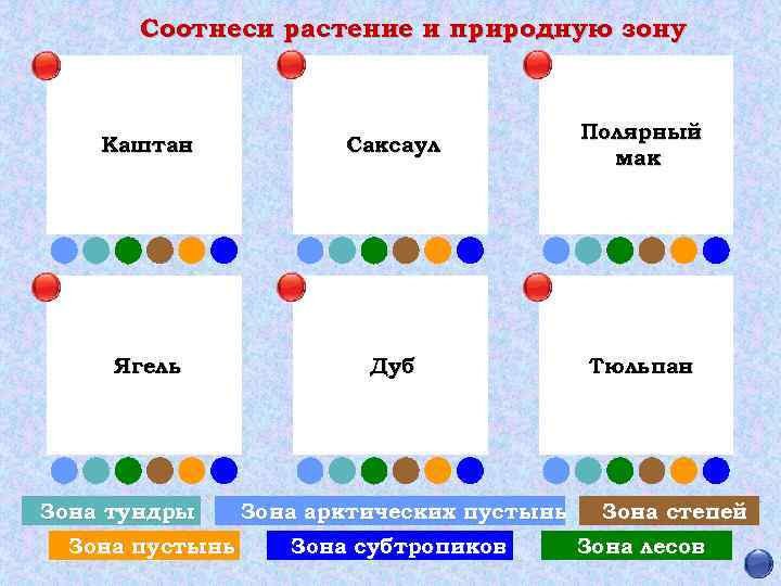 Соотнеси растение и природную зону Каштан Саксаул Полярный мак Ягель Дуб Тюльпан Зона тундры