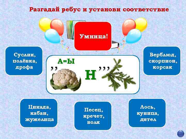 Разгадай ребус и установи соответствие Умница! Суслик, полёвка, дрофа , , Цикада, кабан, жужелица