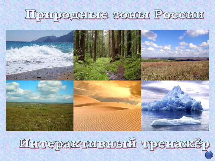 Природные зоны России Интерактивный тренажёр 