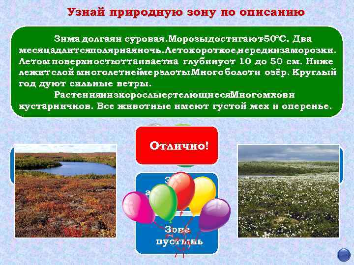 Узнай природную зону по описанию Зима долгаяи суровая. Морозыдостигают ºС. Два -50 месяцадлитсяполярнаяночь. Лето