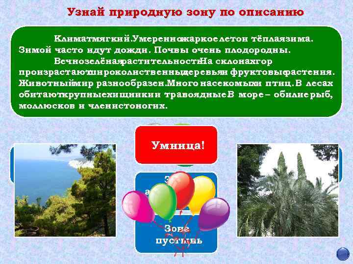 Узнай природную зону по описанию Климатмягкий. Умеренножаркое летои тёплаязима. Зимой часто идут дожди. Почвы