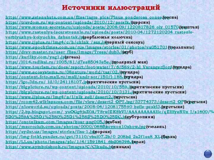 Источники иллюстраций http: //www. zelenahata. com. ua/files/lagre_pics/Pinus_ponderosa_cones. jpg (сосна) http: //travdom. ru/wp-content/uploads/2010/12/persik. jpg (персик)