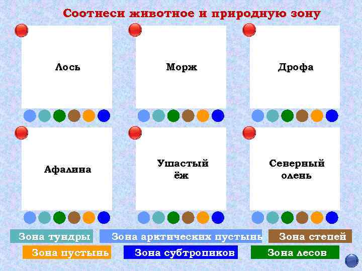 Соотнеси животное и природную зону Лось Морж Дрофа Афалина Ушастый ёж Северный олень Зона