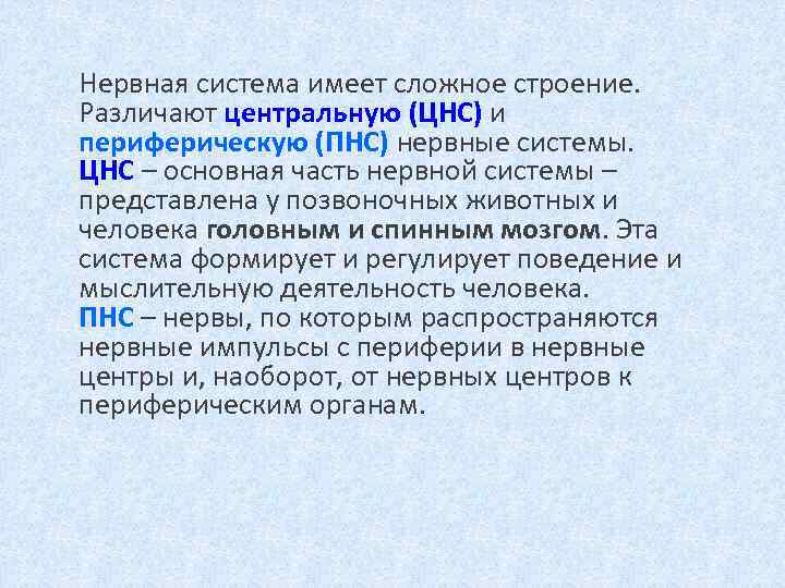 Нервная система имеет сложное строение. Различают центральную (ЦНС) и периферическую (ПНС) нервные системы. ЦНС