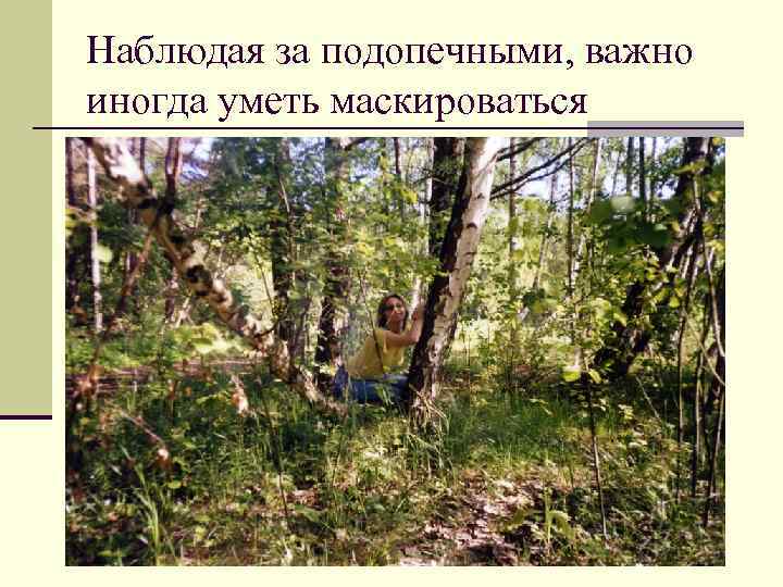 Наблюдая за подопечными, важно иногда уметь маскироваться 