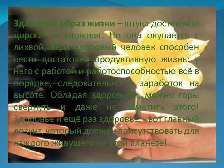 Здоровый образ жизни – штука достаточно дорогая и сложная. Но она окупается с лихвой,