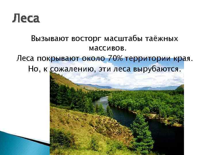 Леса Вызывают восторг масштабы таёжных массивов. Леса покрывают около 70% территории края. Но, к