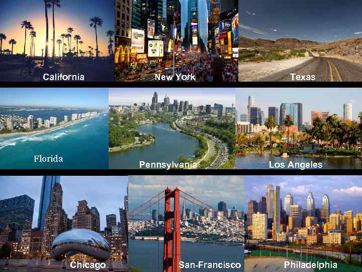 California New York Texas Florida Pennsylvania Chicago San-Francisco Los Angeles Philadelphia 