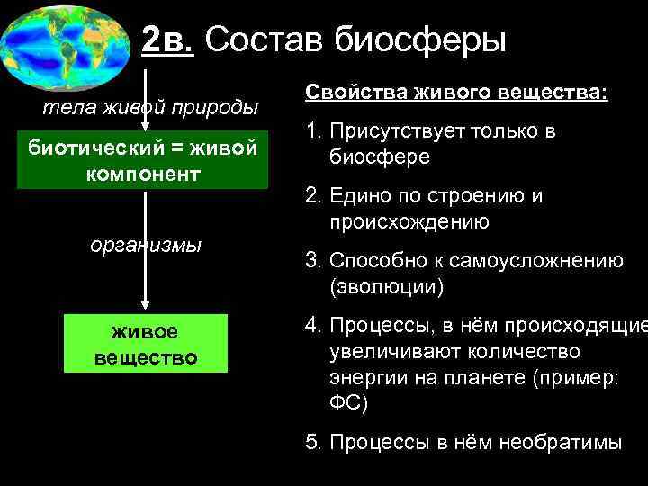 2 в. Состав биосферы тела живой природы биотический = живой компонент организмы живое вещество