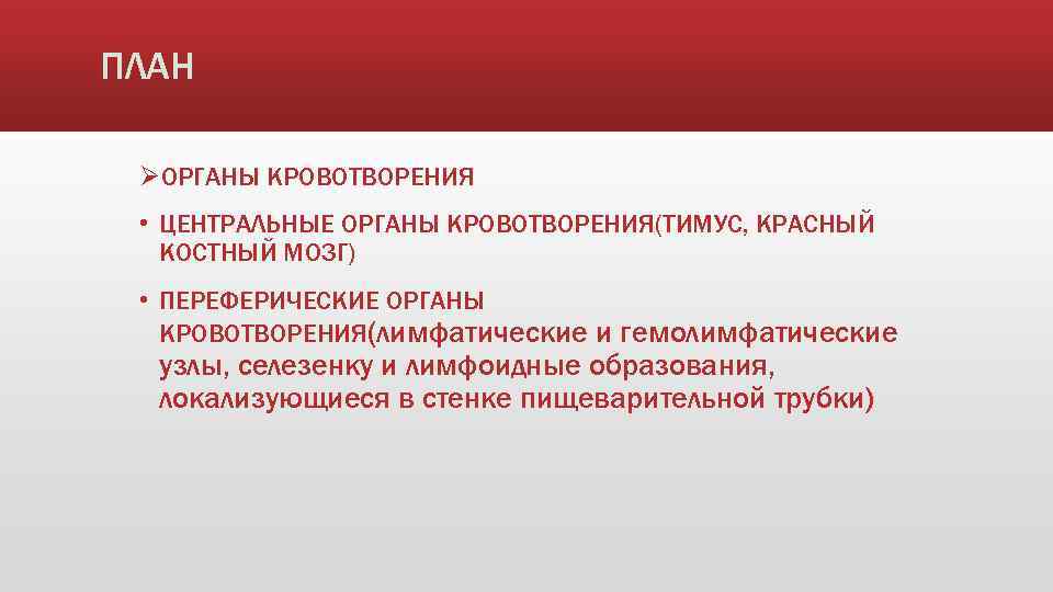 ПЛАН ØОРГАНЫ КРОВОТВОРЕНИЯ • ЦЕНТРАЛЬНЫЕ ОРГАНЫ КРОВОТВОРЕНИЯ(ТИМУС, КРАСНЫЙ КОСТНЫЙ МОЗГ) • ПЕРЕФЕРИЧЕСКИЕ ОРГАНЫ КРОВОТВОРЕНИЯ(лимфатические