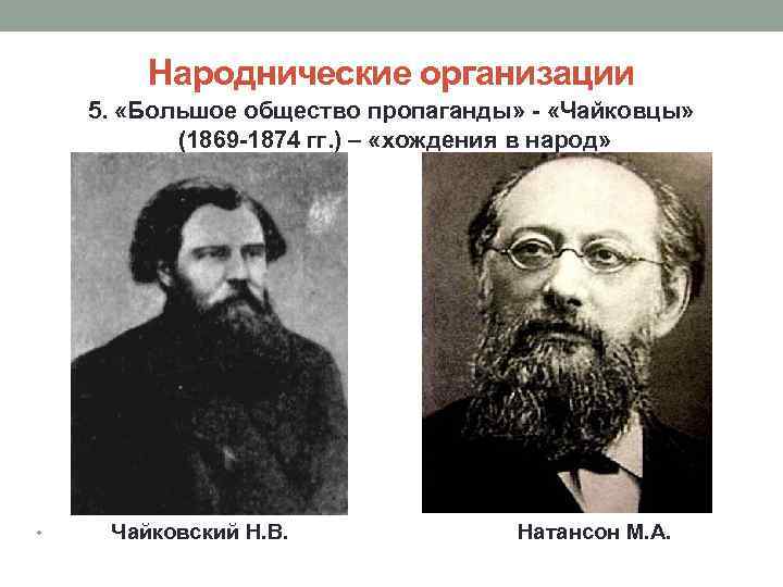 Общественная жизнь 1860 1890