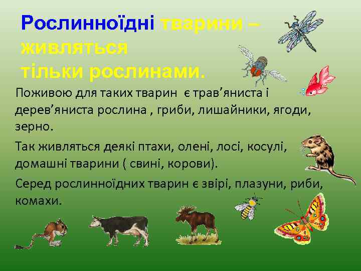 Рослинноїдні тварини – живляться тільки рослинами. Поживою для таких тварин є трав’яниста і дерев’яниста