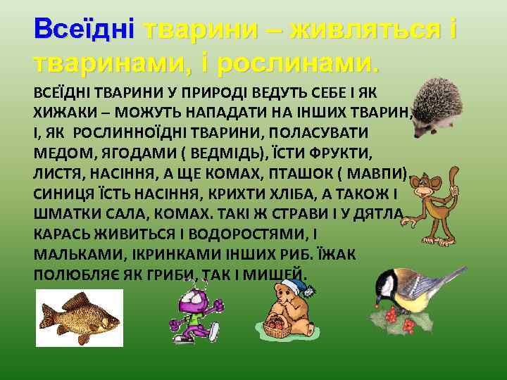 Всеїдні тварини – живляться і тваринами, і рослинами. ВСЕЇДНІ ТВАРИНИ У ПРИРОДІ ВЕДУТЬ СЕБЕ