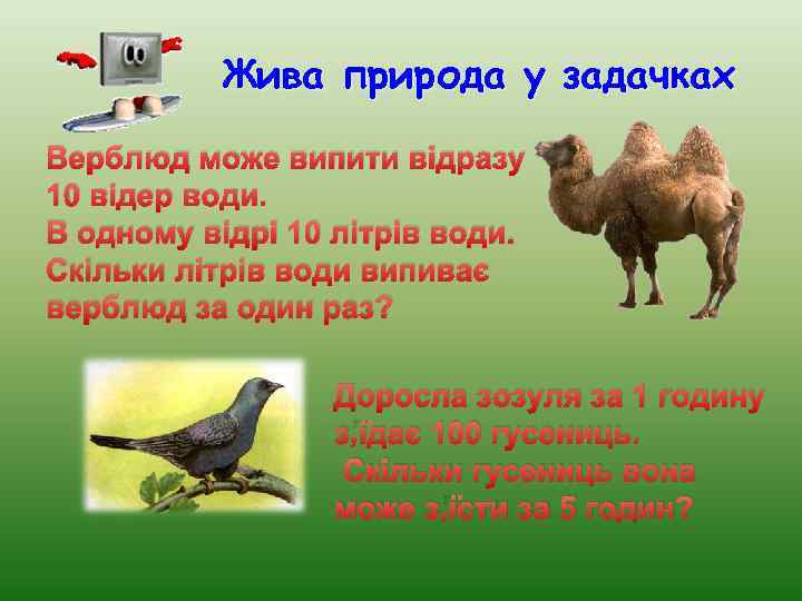 Жива природа у задачках Верблюд може випити відразу 10 відер води. В одному відрі