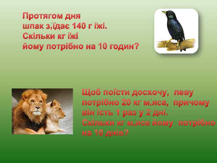 Протягом дня шпак з’їдає 140 г їжі. Скільки кг їжі йому потрібно на 10
