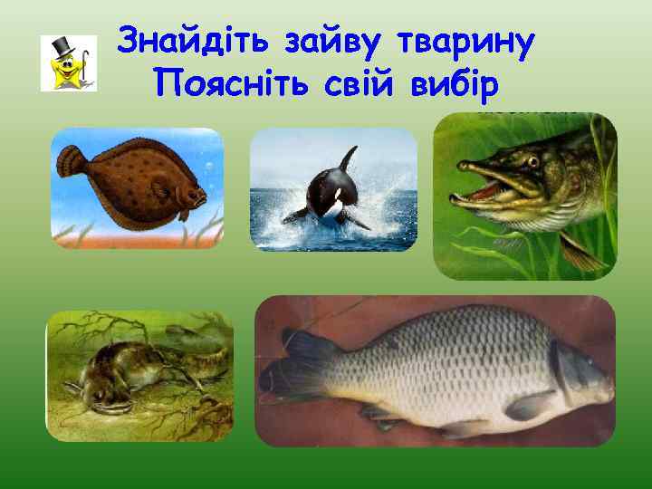 Знайдіть зайву тварину Поясніть свій вибір 