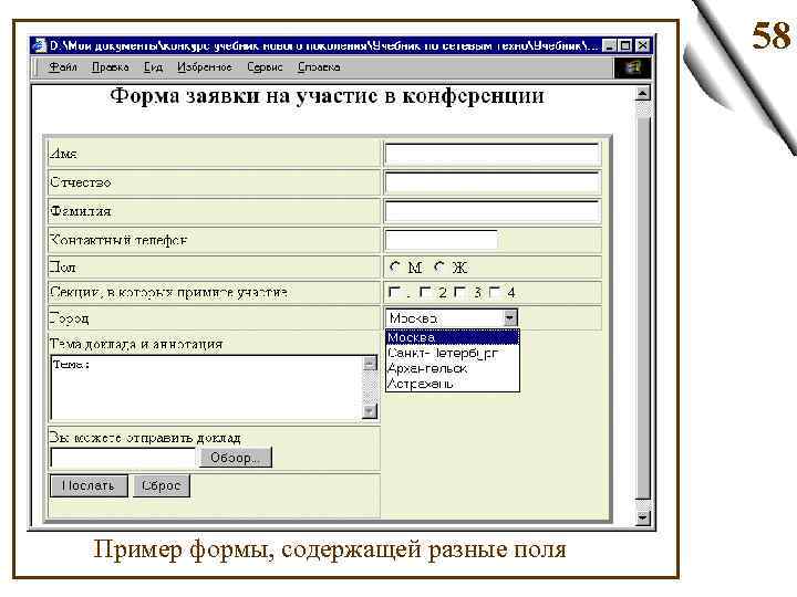 58 Пример формы, содержащей разные поля 