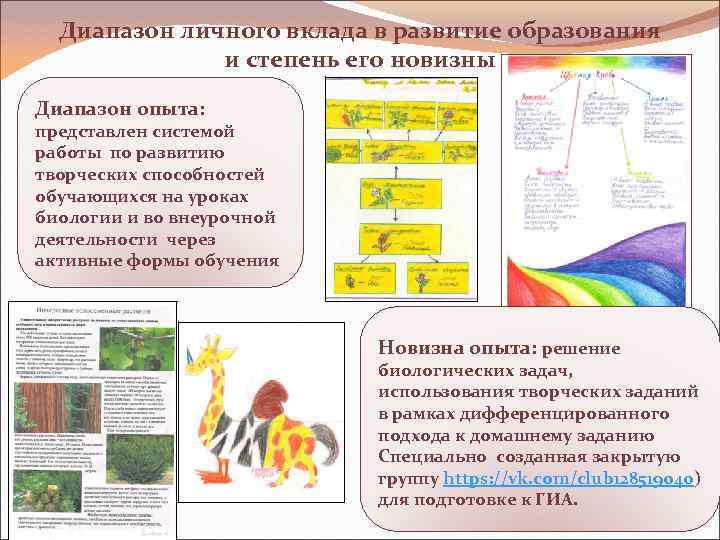 Диапазон личного вклада в развитие образования и степень его новизны Диапазон опыта: представлен системой