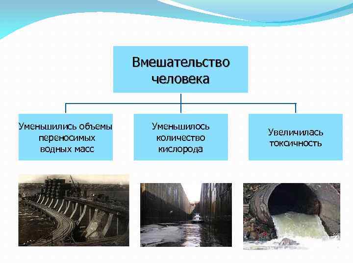 Основные типы водных масс. Три вида водных масс: первичные, основные и трансформированные.. Первичные, основные и трансформированные водные массы. Где уменьшение количества кислорода. Определение водных масс в виде схемы.