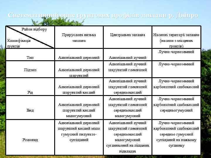 Систематичний опис ґрунтових профілів заплави р. Дніпро Район відбору Класифікація ґрунтів Тип Підтип Рід