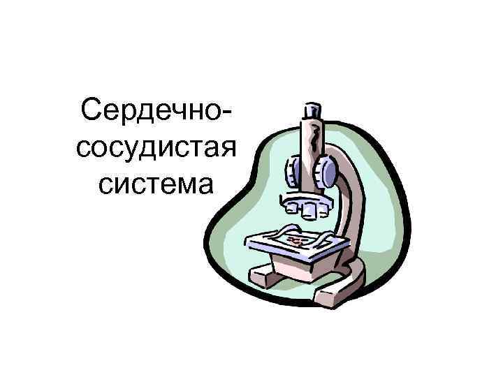 Сердечнососудистая система 