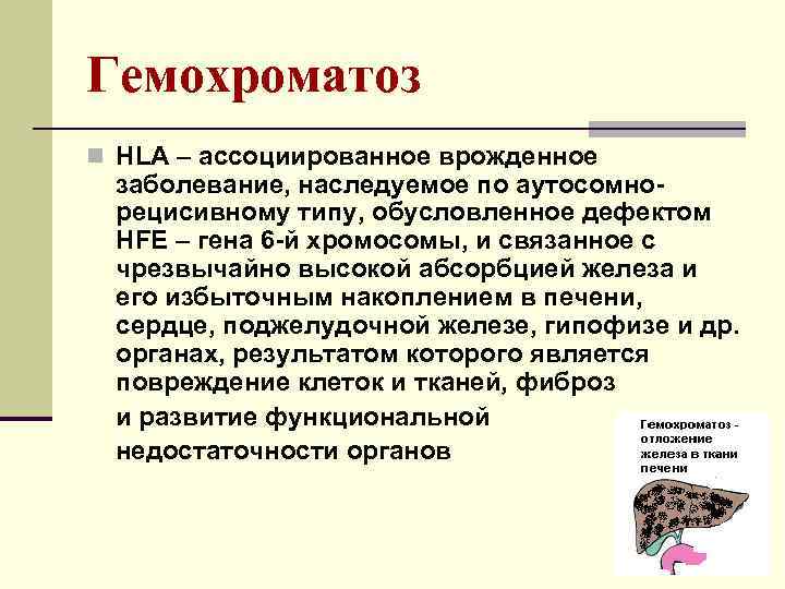 Гемохроматоз n HLA – ассоциированное врожденное заболевание, наследуемое по аутосомнорецисивному типу, обусловленное дефектом HFE