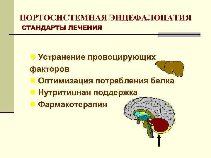 ПОРТОСИСТЕМНАЯ ЭНЦЕФАЛОПАТИЯ СТАНДАРТЫ ЛЕЧЕНИЯ l Устранение провоцирующих факторов l Оптимизация потребления белка l Нутритивная