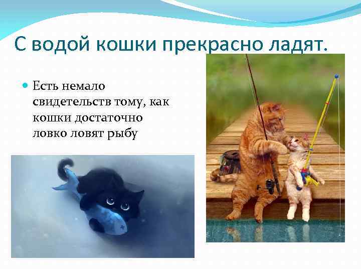 С водой кошки прекрасно ладят. Есть немало свидетельств тому, как кошки достаточно ловко ловят