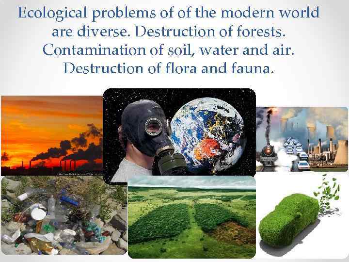 Ecological problems of of the modern world are diverse. Destruction of forests. Contamination of