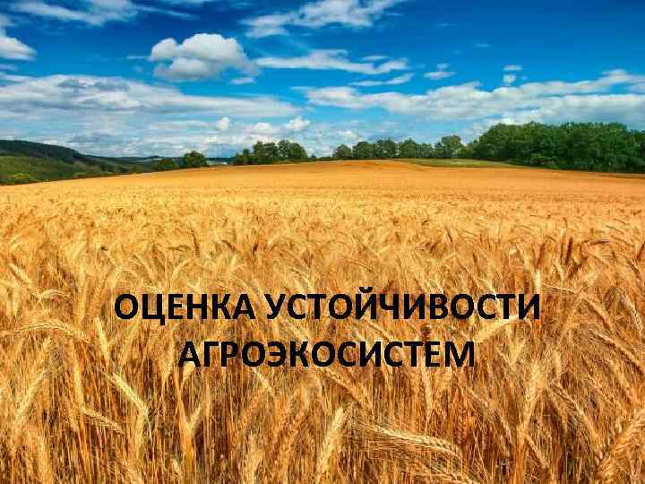 ОЦЕНКА УСТОЙЧИВОСТИ АГРОЭКОСИСТЕМ 