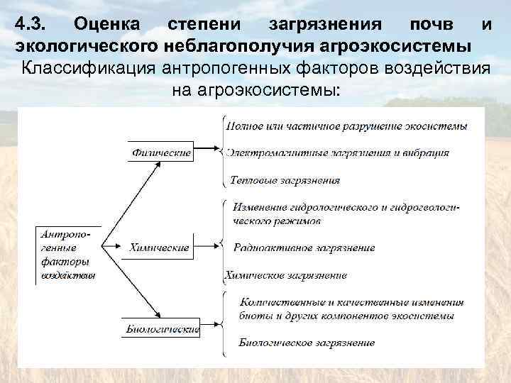 Оценка устойчивости бизнес проекта