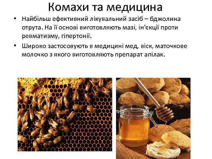Комахи та медицина • Найбільш ефективний лікувальний засіб – бджолина отрута. На її основі