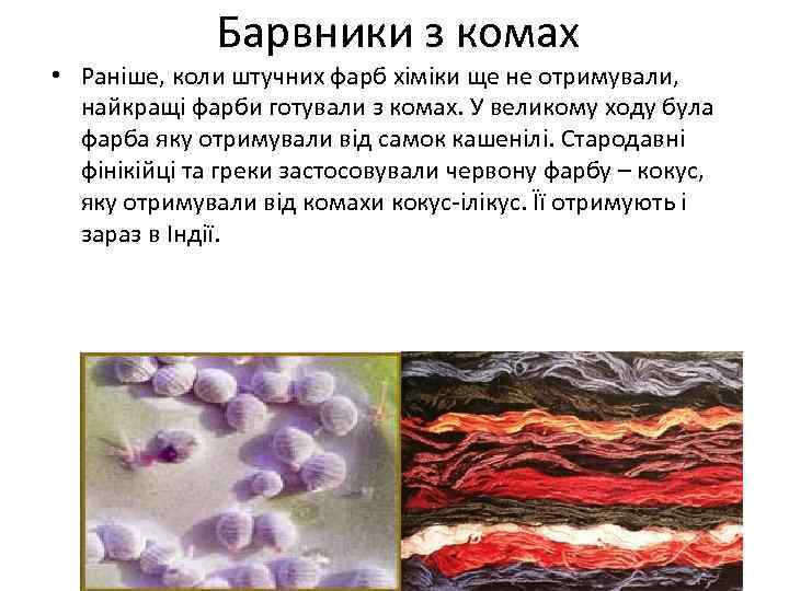 Барвники з комах • Раніше, коли штучних фарб хіміки ще не отримували, найкращі фарби