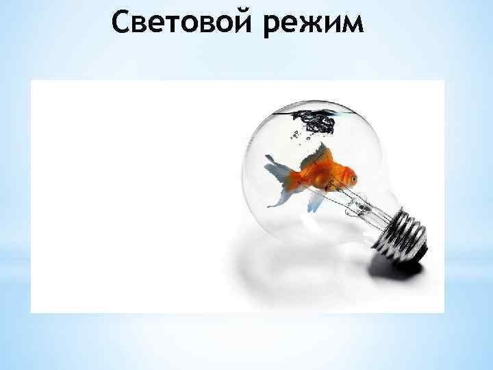 Световой режим 