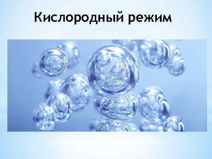 Кислородный режим 