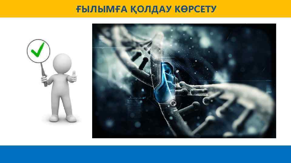 ҒЫЛЫМҒА ҚОЛДАУ КӨРСЕТУ 