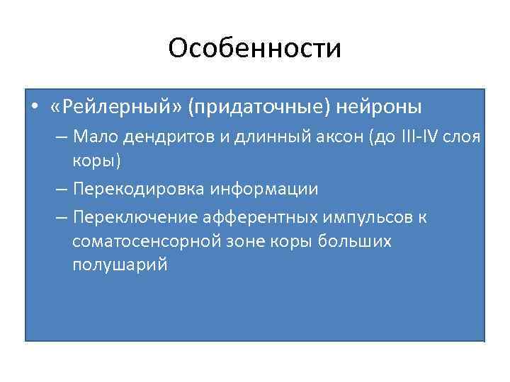 Особенности • «Рейлерный» (придаточные) нейроны – Мало дендритов и длинный аксон (до III-IV слоя